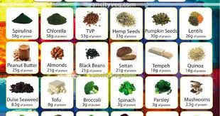 Pin By Linda Mounce On Protine Charts Vegan Protein Protein Rich Foods Vegan Protein Sources