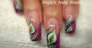 Unghii Tehnice False Gel Flori Cale Pictura Manuala One Stroke 2011 Beautiful Nails Nail Art Nails
