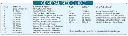 Beagle Puppy Size Chart 2019