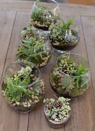 Make A Mini Terrarium Mini Terrarium Terrarium Garden Projects