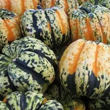 Image result for carnival acorn squash