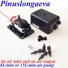 Bo 244ap Free Shipping 4l 8l 15l 25l Min Dc12v Dc24v Ac220v Ac110v Air Compressor Aquarium Oxygenator Air Pump Ozone Part Aquarium Air Pump Air Pump Spa Parts