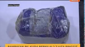 Difahamkan, pil subutex yang diperkenalkan di pasaran tempatan dengan nama saintifik buprenorphine pada 2001 sebelum digantikan dengan pil suboxone untuk mengurangkan ketagihan. Pil Kuda Ditelan