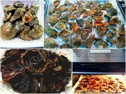 Firinda Mantar Melki Cintar Kanlica Mantari Susam Corek Otu Denenmis Tarifler Mantar Yemek Corek Otu