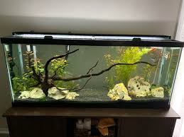 Experience With Fluval Aquasky Light For Planted Aquarium Details In Comments Picture To Show What I M Dealing With Plantedtank