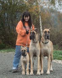 We raise excellent pet quality puppies that are. About Us Angie First Albany Oregon