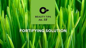 Compost the grass, if you have a compost pile, or place it in lawn bags for pickup. How To Repair A Damaged Lawn Pro Mix Gardening