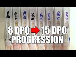 Pregnancy Test Progression 8 Dpo 15 Dpo Youtube