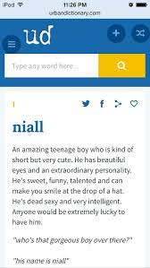 The Urban Dictionary Definition Of Niall Urban Dictionary Definitions Make You Smile Teenage Boys