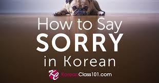How to Say Sorry in Korean