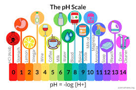 Universal indicator ea without any restrictions (no time or account type limit) this ea is made with the concept of using a single expert advisor for all indicators so it can work with any indicator that. The Ph Scale Of Common Chemicals