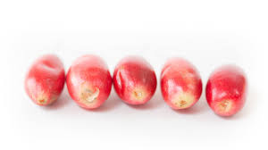 Image result for Pentadiplandra brazzeana