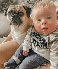 Kids caring for a chicken in the rain