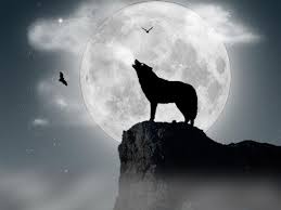 More images for wolf wallpaper gif » Moon Wolf Wallpapers Group 70