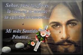 1 ACTA ORDINARIA 49-2017, MARTES 05 DICIEMBRE 2017