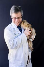 Uncover why beach pet hospital is the best company for you. Arch Beach Veterinary Clinic Meet The Doctors In Laguna Beach