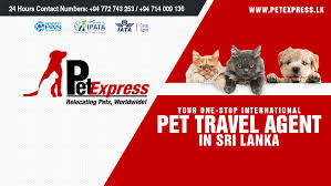 Pet relocation's door to door service is a major rip off. Pet Express Sri Lanka International Pet Relocation Services Ipata Certified Pet Travel Company Iata Ipata Certified Pet Travel Specialists From Sri Lanka