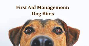 After the bite of an infected animal, rabies symptoms may take weeks, months, or in some cases, years to appear in humans (this is known as the incubation period). First Aid Guide Dog Bite What Is Rabies