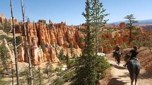Once the ride reaches the floor of bryce canyon our 2 hour ride will make a loop and start to travel back up to the rim of the canyon, winding through many more rock formations. View From The Peek A Boo Horse Ride In Bryce Canyon Picture Of Canyon Trail Rides Bryce Canyon National Park Tripadvisor