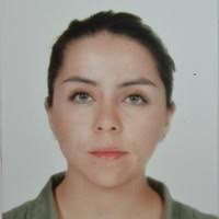 50+ "Guevara Dominguez" profiles