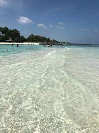 Transfira maldivas praia com palmeiras 1 stock video de dolgachov. Como E Viajar Para As Ilhas Maldivas Custos Transportes Praias Hoteis E Muitas Dicas