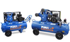 4.3 out of 5 stars 25 $348.37 $ 348. Puma Reciprocating Air Compressors Glenco Air Power