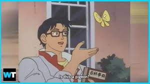 Mount and blade meme template guy looking at girl. What S The Story Behind The Is This A Pigeon Meme What S Trending Now Youtube