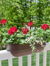 We offer window box brackets for railings of all sizes and materials, including options like a drape and shelf configuration, or deck rail brackets that bolt to the back of the window box. Quick Fix Deck Rail Flower Boxes Celebrate Creativity