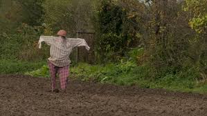 Check spelling or type a new query. Scarecrow In The Garden Scarecrow Scaring Village Stock Footage Video 100 Royalty Free 20209519 Shutterstock