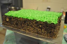 Minecraft Dirt Block Chocolate Cake With Oreo Graham Cracker Dirt On The Sides And Green Buttercream Icing Cake Party Cakes Food