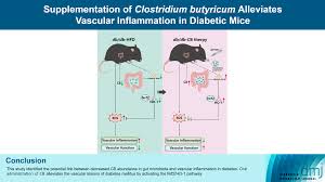 Diabetes & Metabolism Journal