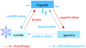 En cycle 2, les étudiants se spécialisent dans l'un des cinq départements de l'ecole : Etats De L Eau Dans La Biosphere Maxicours