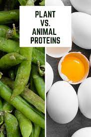 Plant Vs Animal Proteins Which Is Better For Fueling Your Body Nutrition Protein Vegan Paleo Diet Animal Protein Protein Egg Nutrition