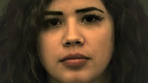 Chihuahua, Mexico, man pleads guilty in marijuana smuggling case