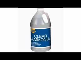 How To Rid Your Home Of Mice The Home Depot Youtube How To Get Rid Of Gnats Home Remedies For Roaches Kill Roaches