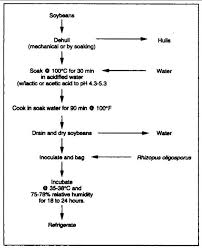 Overview Of Soybean Processing And Production