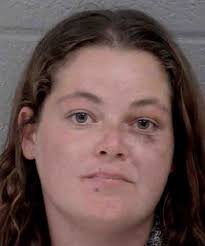 Heather Degraw Carrying Concealed Weapon Tresapassing