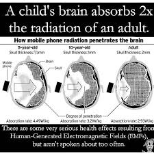do you have children if you do this information is vital in this day and age more and more wifi towers and worse are being set up all over the place alon