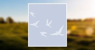 Frank Davis Obituary May 21, 2013