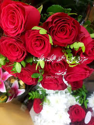 مقولات حكمة اقتباسات خلفيات صور ورود حب