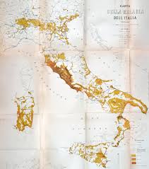 Ce criquet a été élevé en indonésie et ainsi offre une activité économique durable aux habitants des zones forestières. Cartographie Du Paludisme En Italie