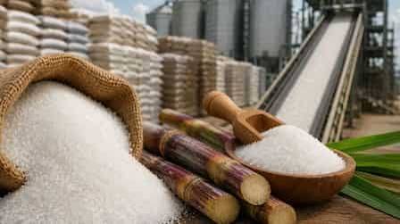 Sugar Prices Surge: