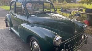 Image result for Sage Green 1961 Morris