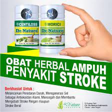 Gejala stroke ringan bisa hilang atau dirasakan sembuh total oleh penderitanya dalam waktu kurang dari 24 jam. Obat Stroke Berat Herbal Centiloss Dan Morici De Nature Shopee Indonesia