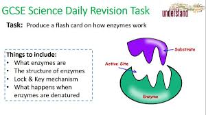 Media Tweets By David Chalk Teacherchalky1 Twitter Gcse Science Science Daily Science Revision