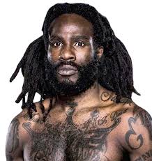 Дэниел Штраус (Daniel Straus): статистика и бои