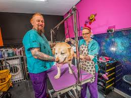 We are located in south corona (just off of please browse our website to learn more about our animal clinic and the veterinary services we provide for companion animals in corona and the surrounding areas. Dog Groomer Bites Back At Critics Slamming Him For Opening During Lockdown North Wales Live