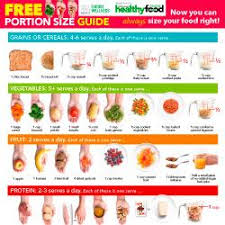 portion size guide australian healthy food guide