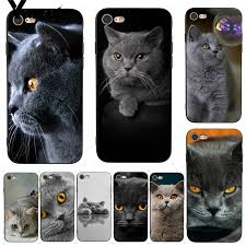 Open sachet milk growcatz 2. Best Top Kucing British Brands And Get Free Shipping Ki647ann