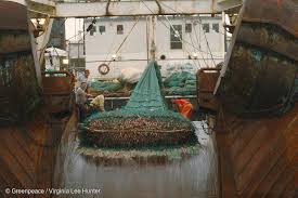 Image result for trawling